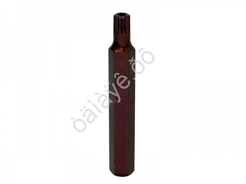 Бита 12-лучевая SPLINE  M8х75ммL, 10мм с отверстием ТДМ 1787508