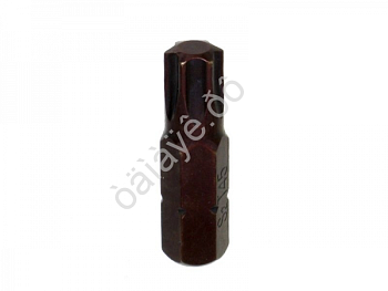 Бита TORX 5/16 T45x30мм ТДМ 1563045